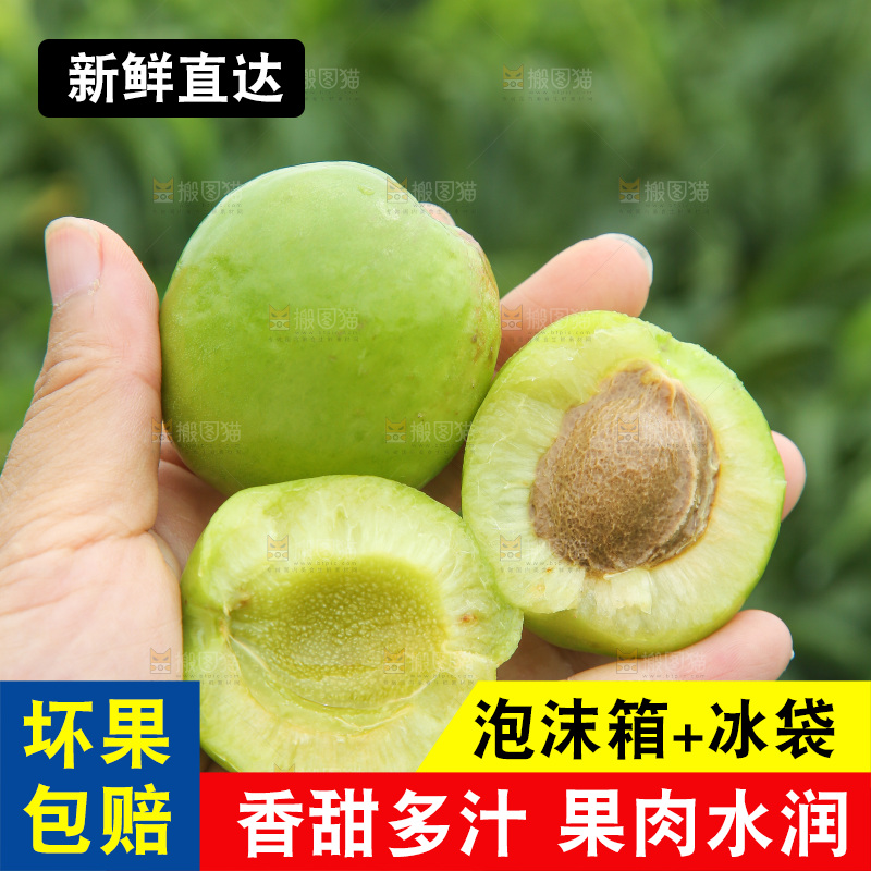 手里拿着大梨杏