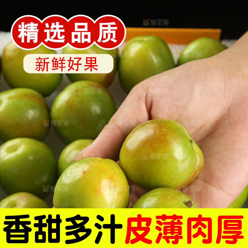 木底上的大梨杏