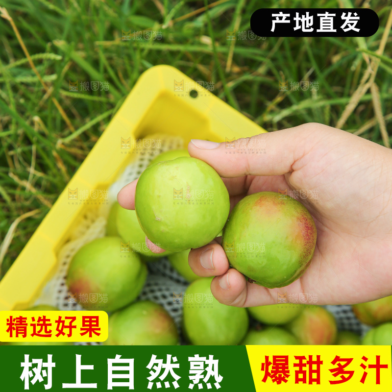 手里拿着大梨杏