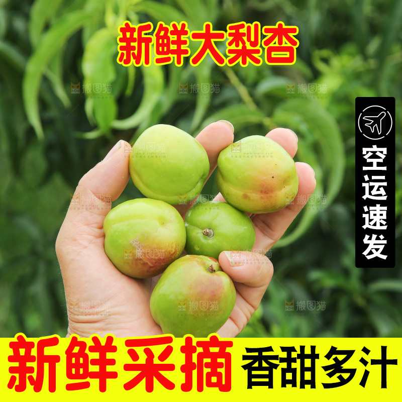 手里拿着大梨杏