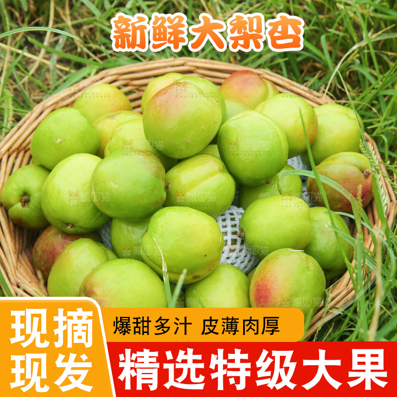 草地上放着大梨杏