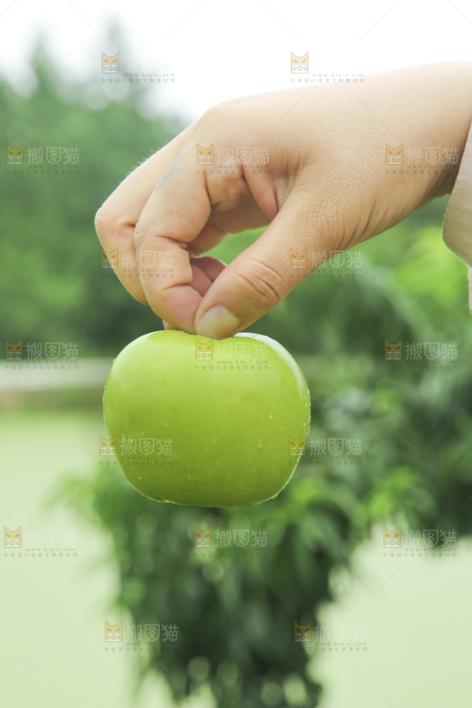 手里拿着青苹果