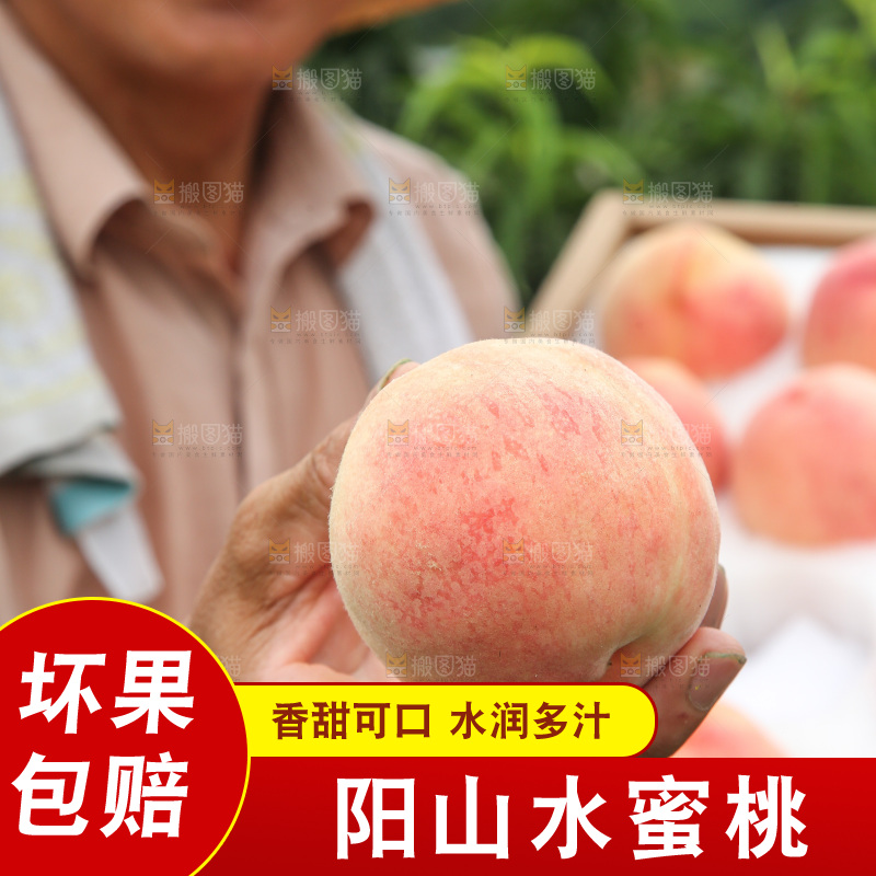 手里拿着阳山水蜜桃