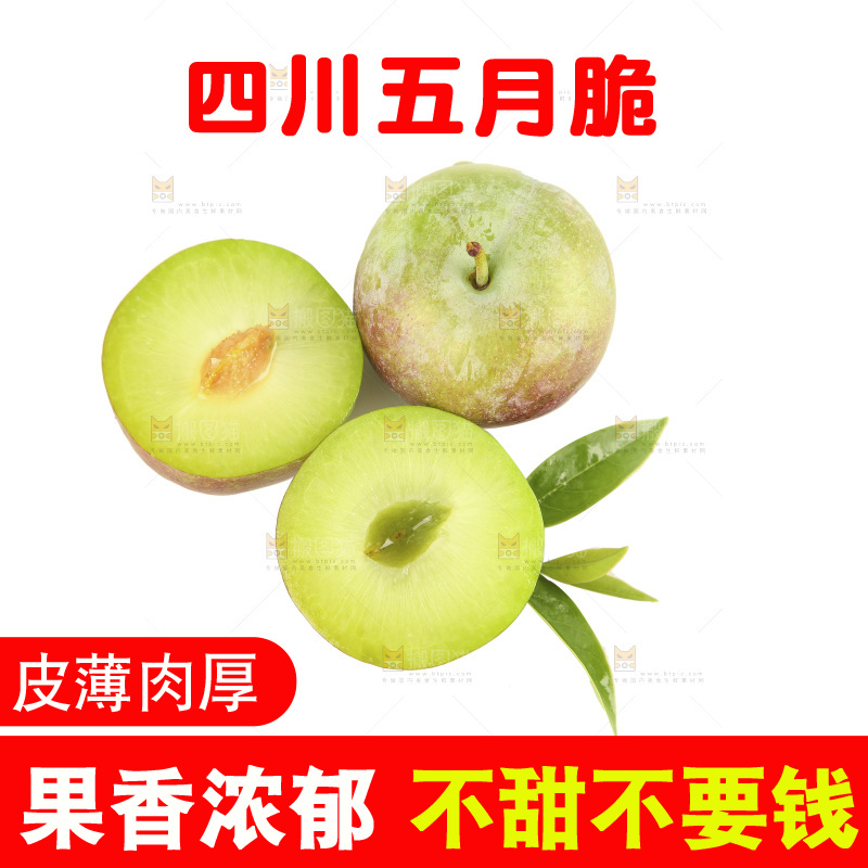 白底上的五月脆