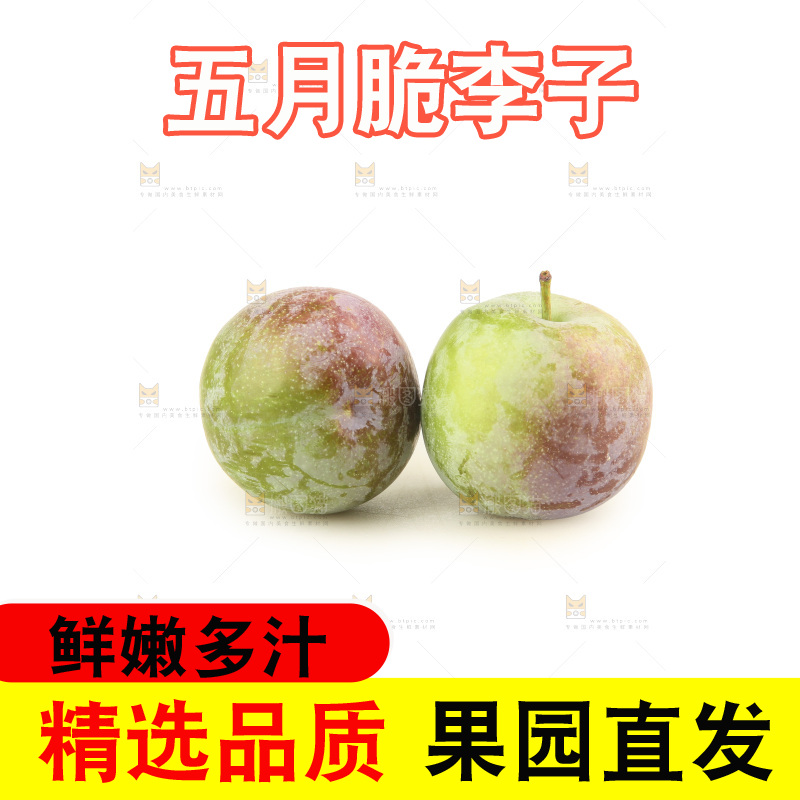 白底上的五月脆