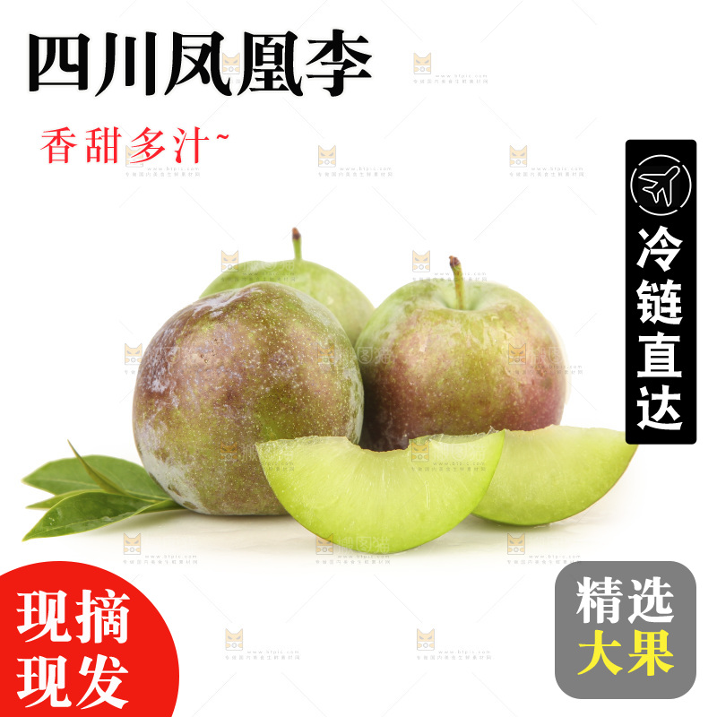 白底上的五月脆