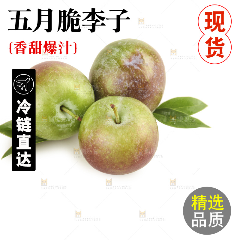 白底上的五月脆