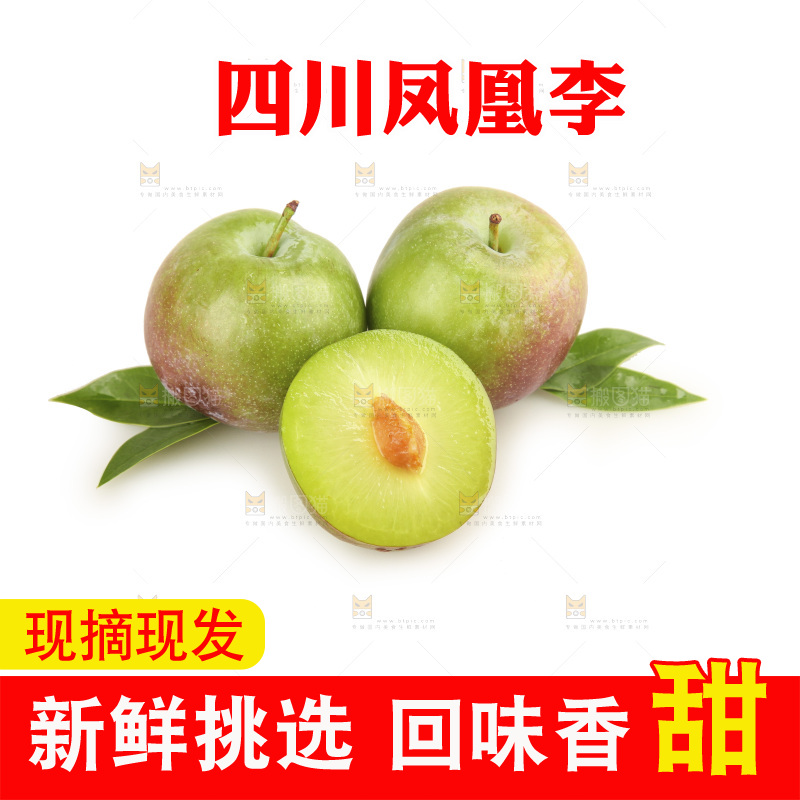白底上的五月脆