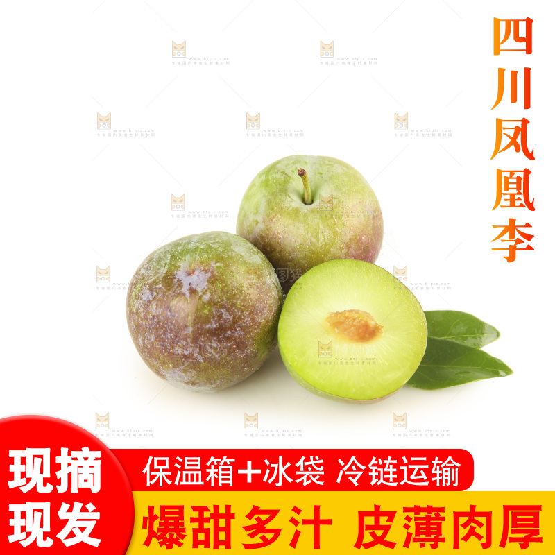 白底上的五月脆