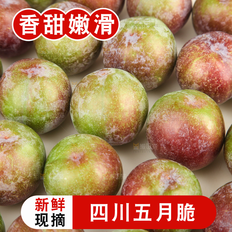 白底上的五月脆