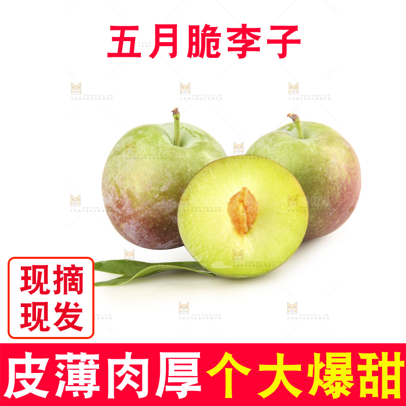 白底上的五月脆