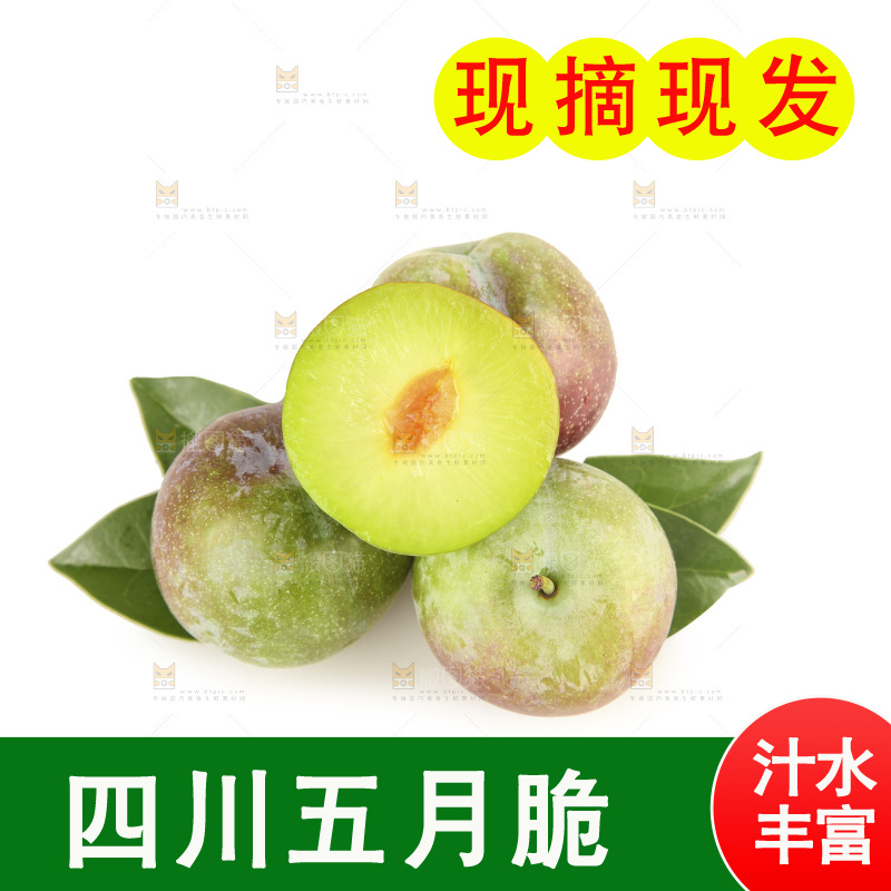 白底上的五月脆