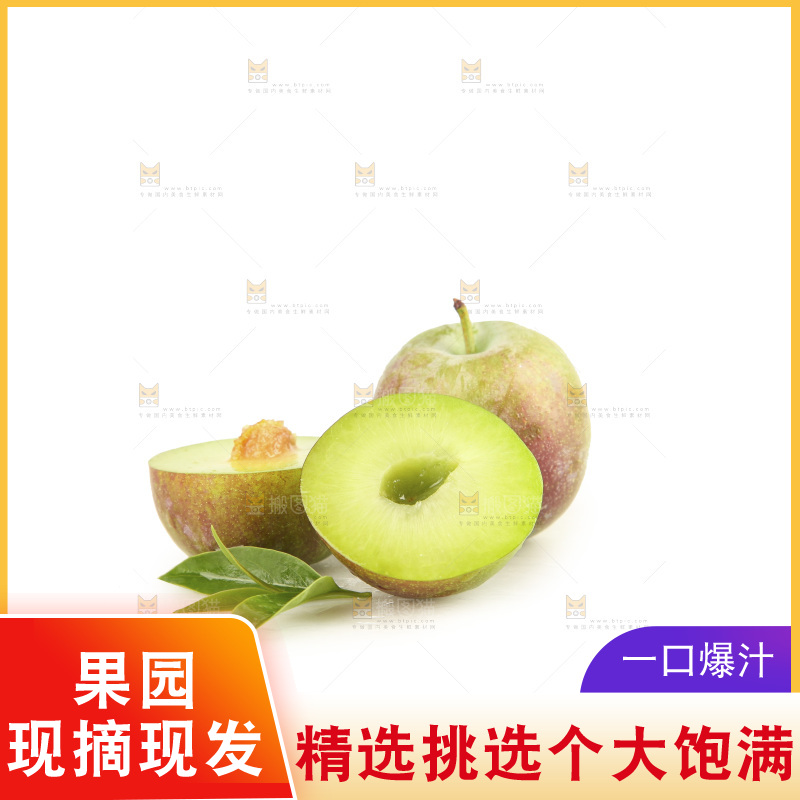 白底上的五月脆