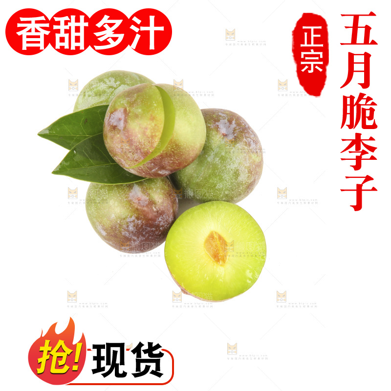 白底上的五月脆