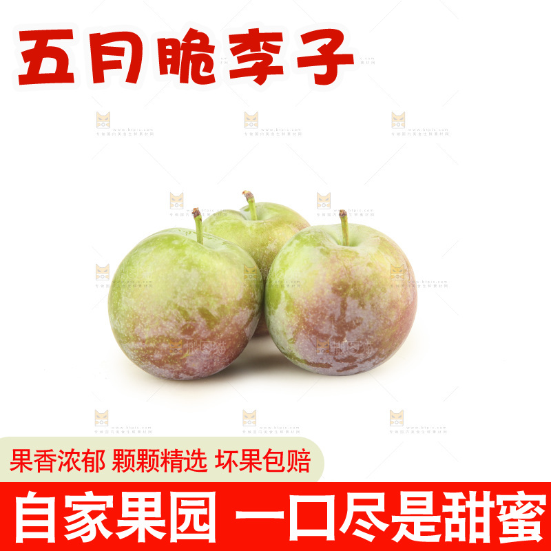 白底上的五月脆
