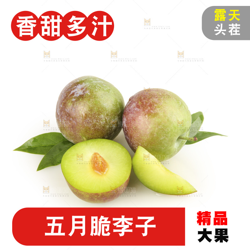 白底上的五月脆