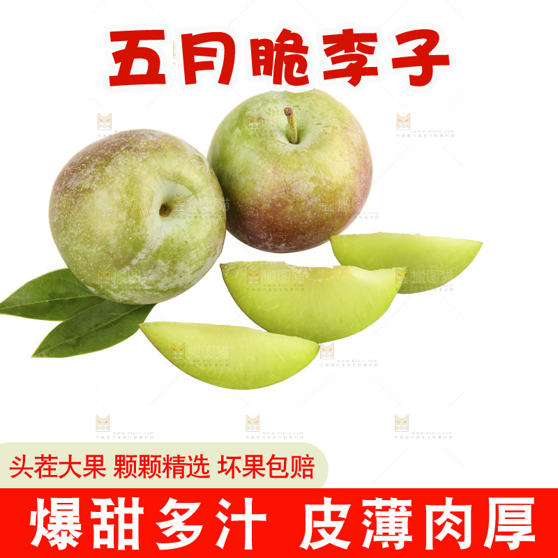 白底上的五月脆