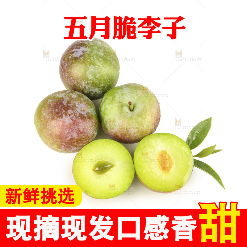 白底上的五月脆