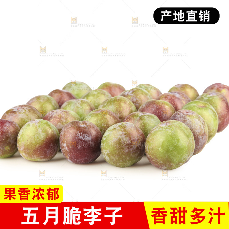 白底上的五月脆
