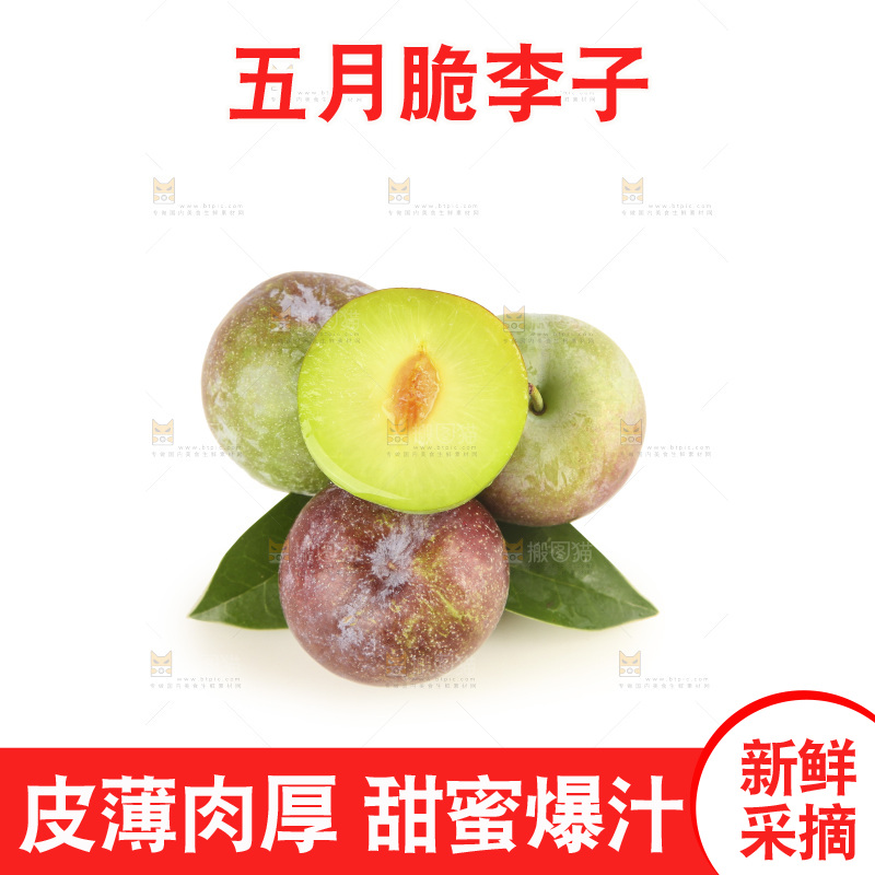 白底上的五月脆