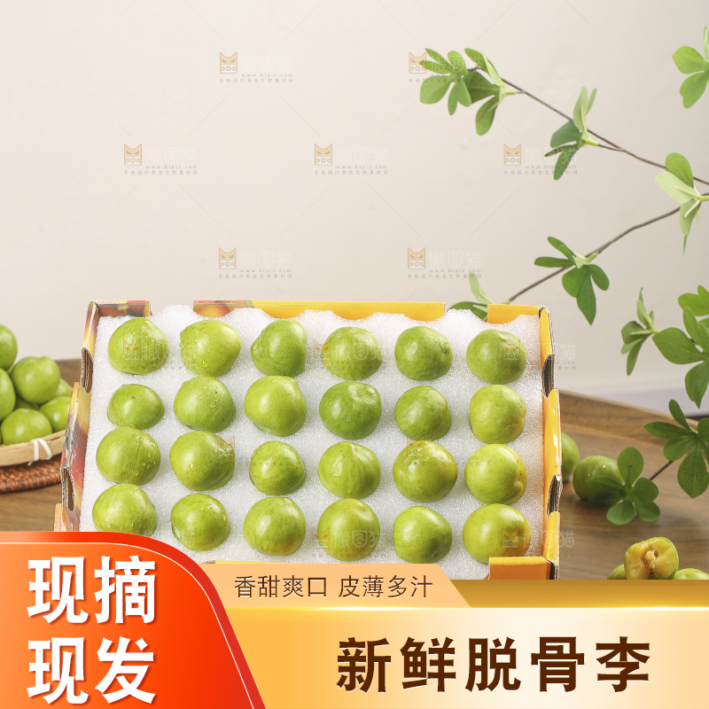 木底上的脱骨李