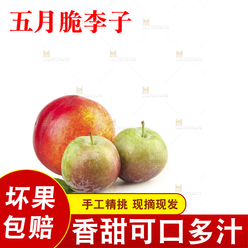 白底上的五月脆