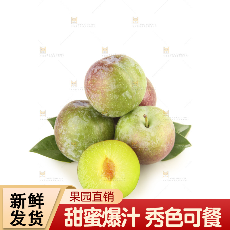 白底上的五月脆