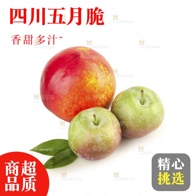 白底上的五月脆