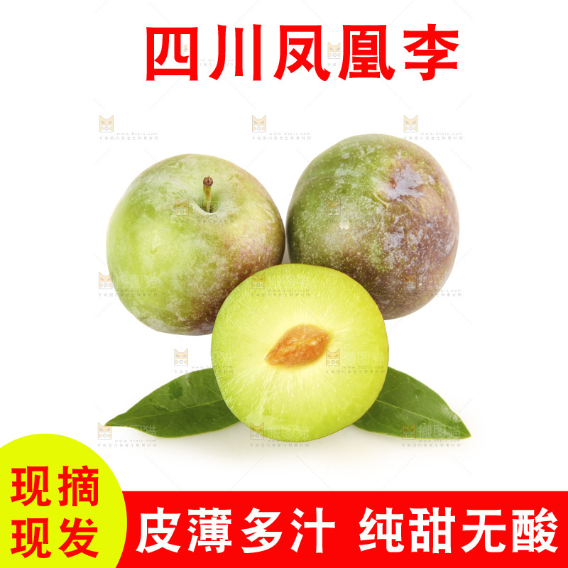 白底上的五月脆