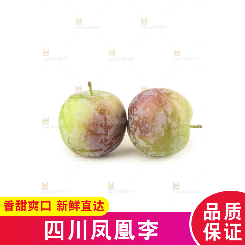 白底上的五月脆