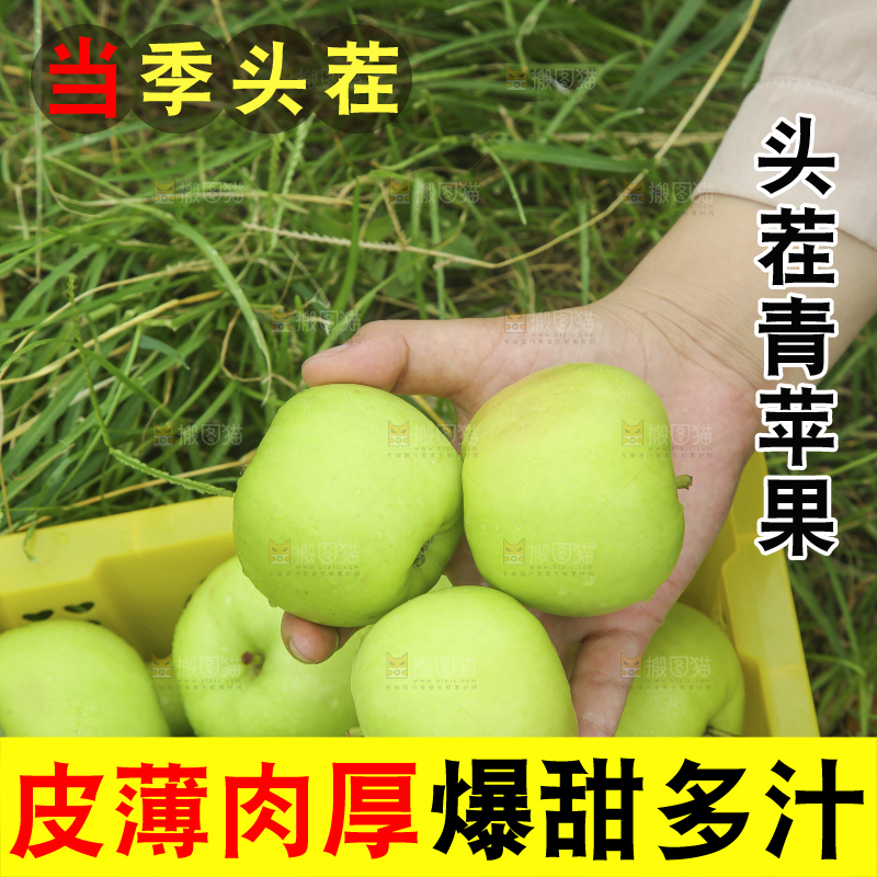 手里拿着青苹果