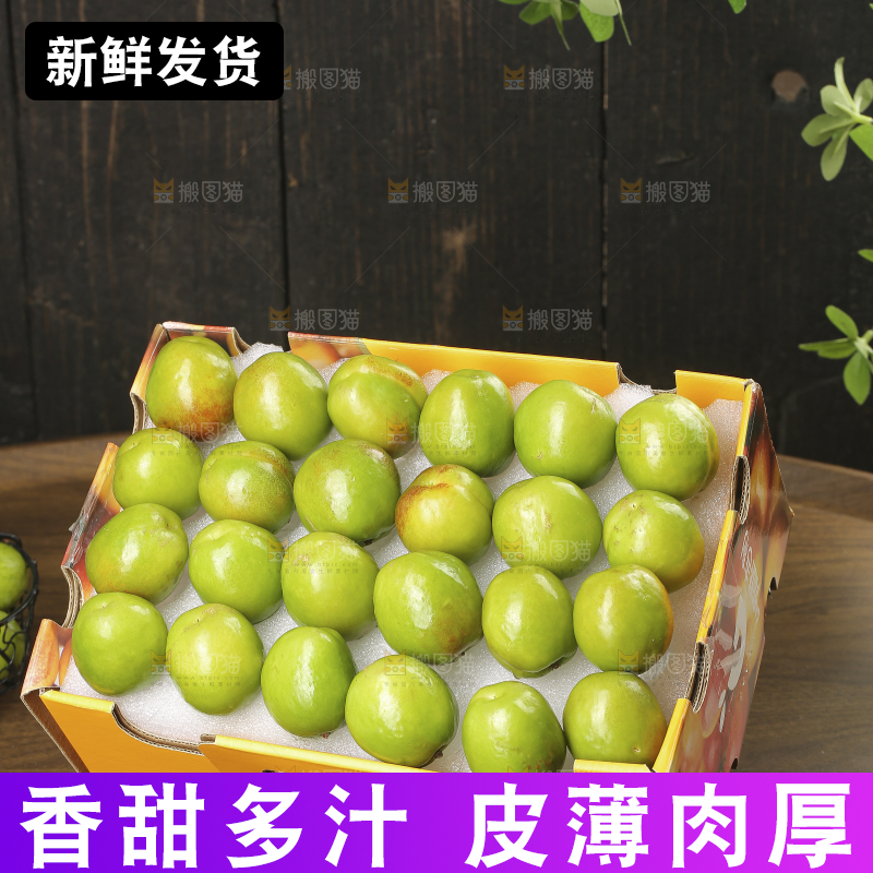 木底上的大梨杏