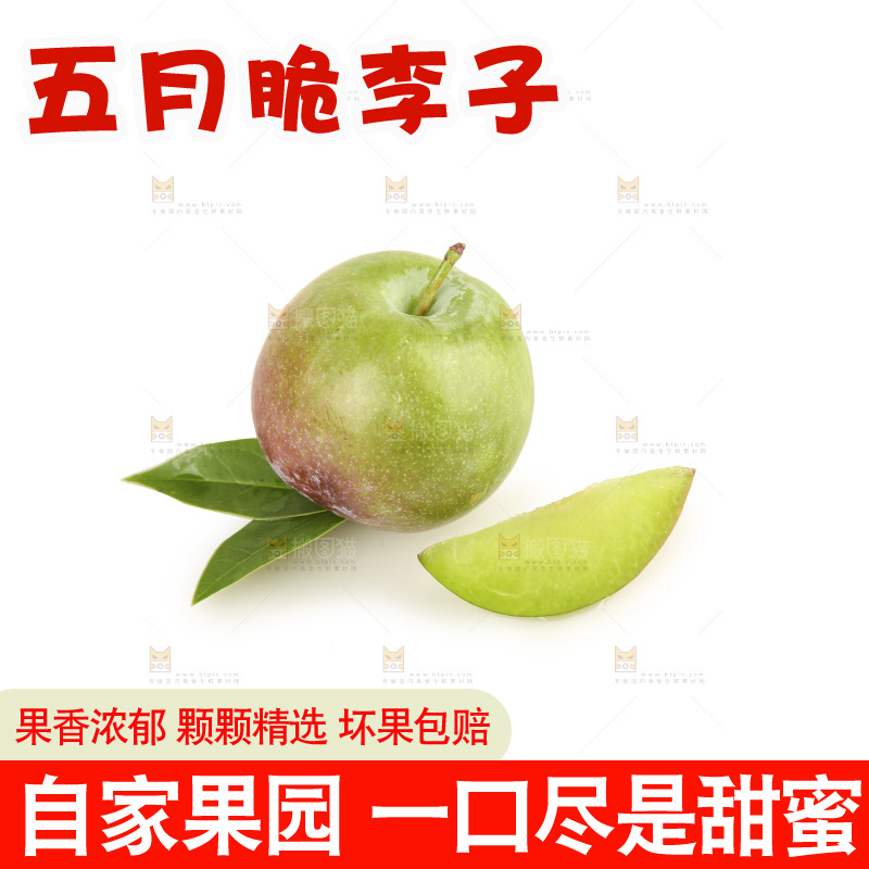 白底上的五月脆