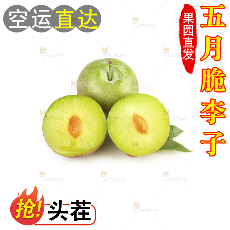 白底上的五月脆