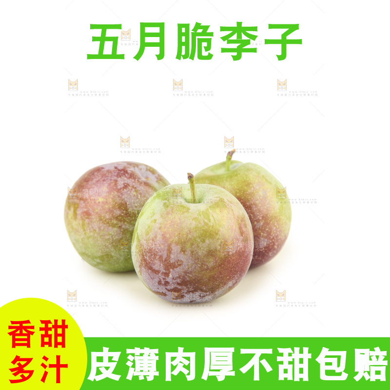 白底上的五月脆