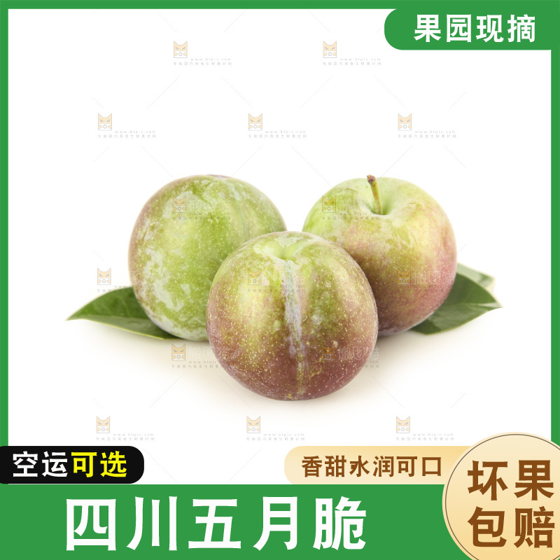 白底上的五月脆