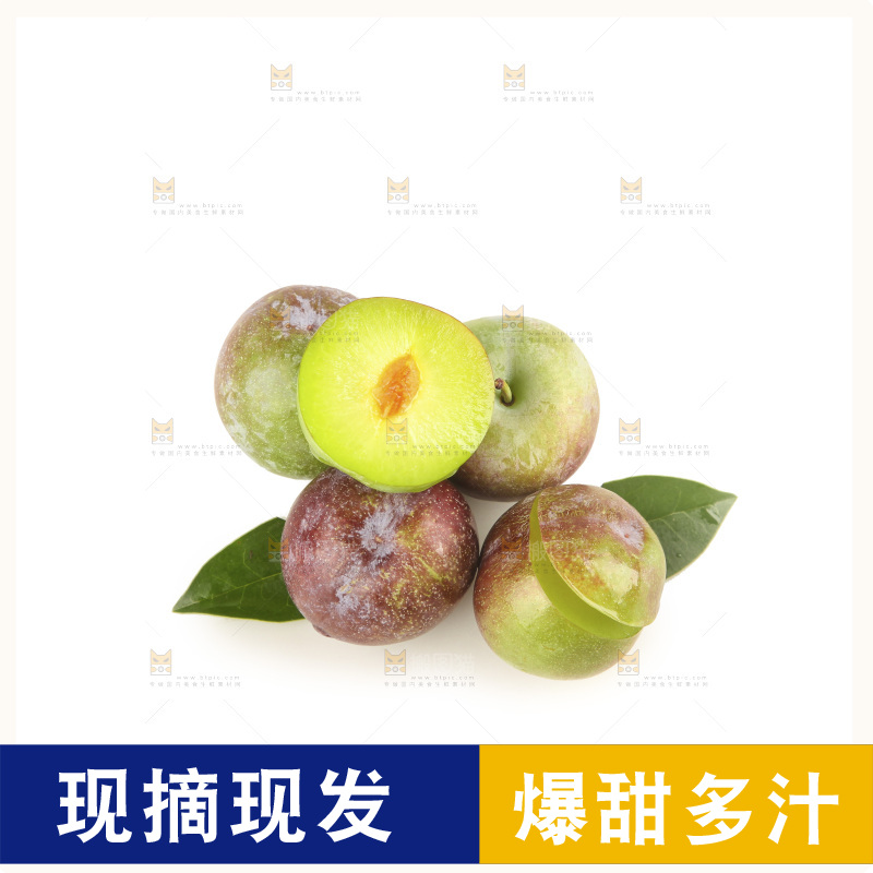 白底上的五月脆