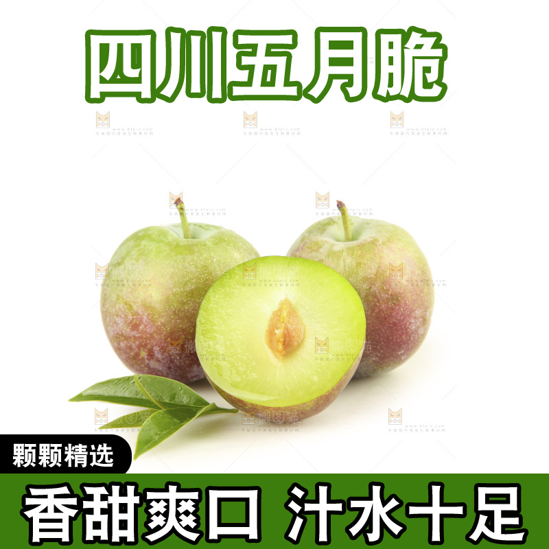 白底上的五月脆