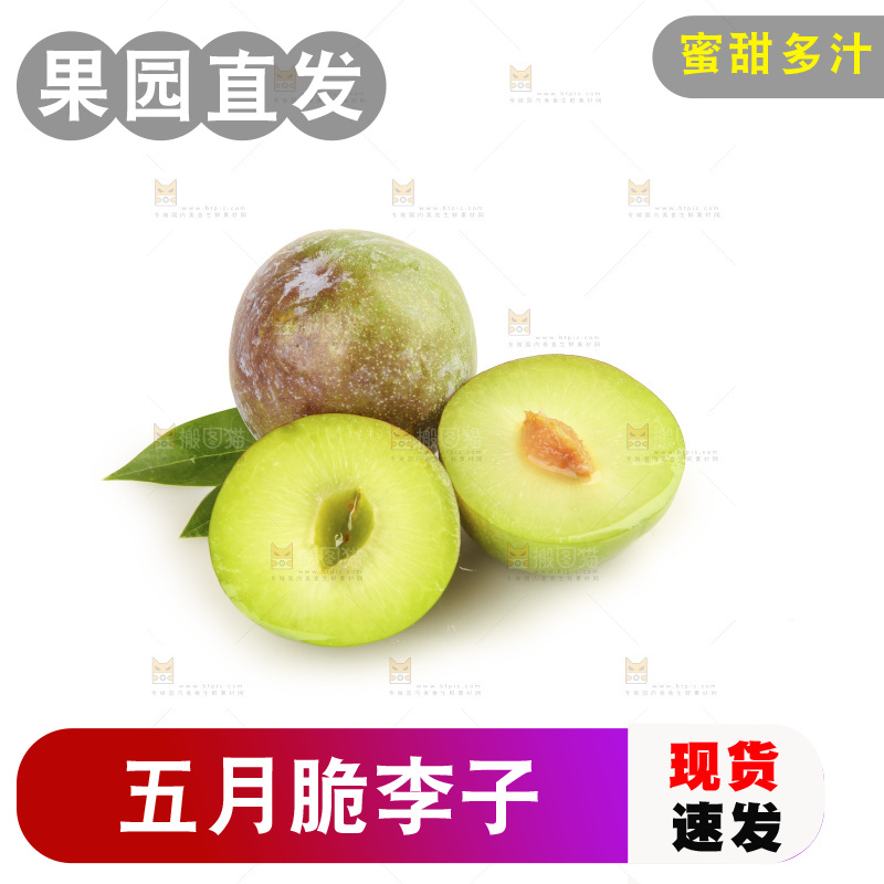 白底上的五月脆
