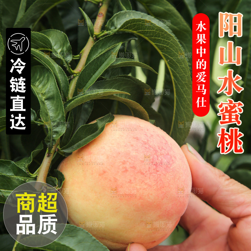 手里拿着阳山水蜜桃