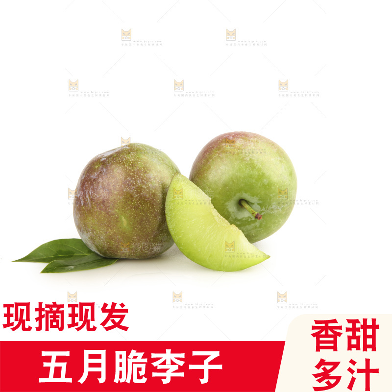 白底上的五月脆