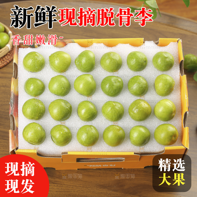 木底上的脱骨李