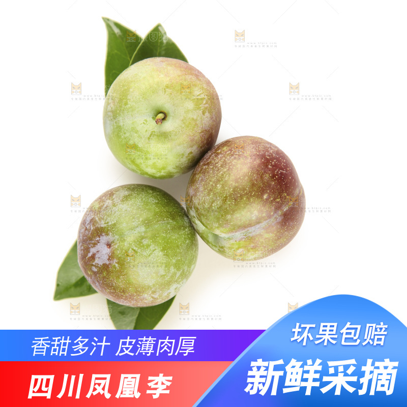白底上的五月脆