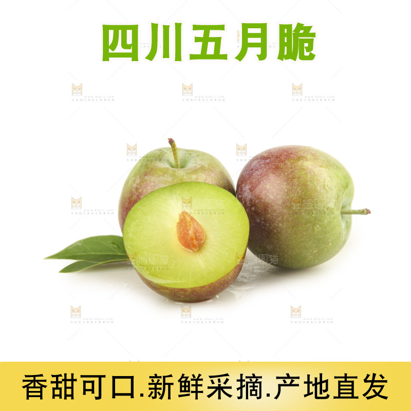 白底上的五月脆