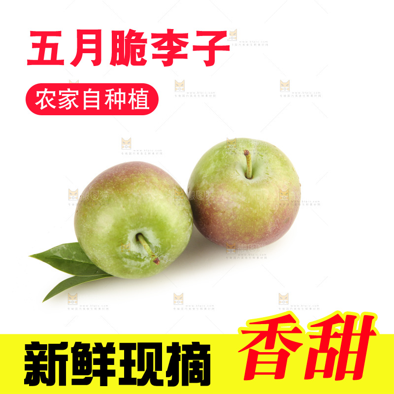 白底上的五月脆
