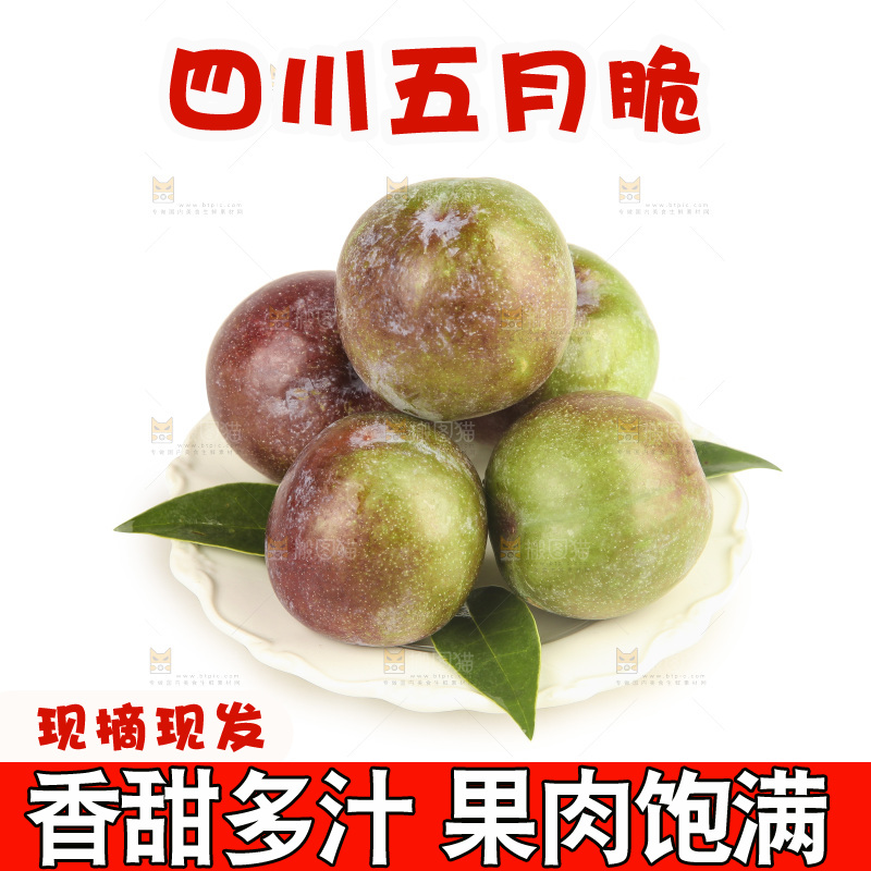 白底上的五月脆