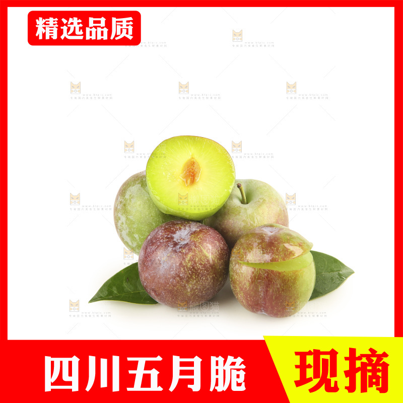 白底上的五月脆