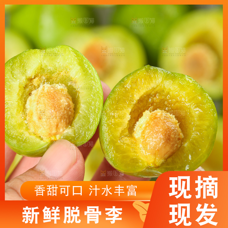 木底上的脱骨李
