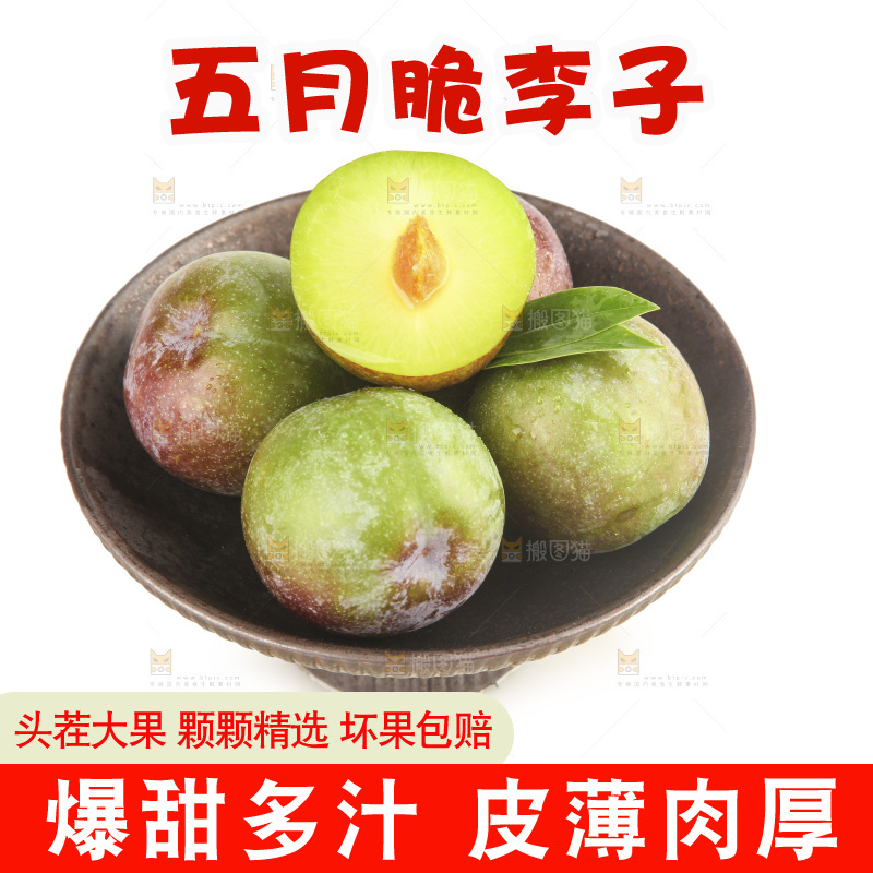 白底上的五月脆