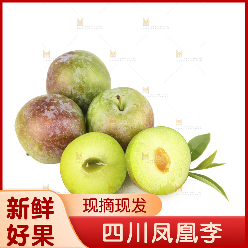 白底上的五月脆